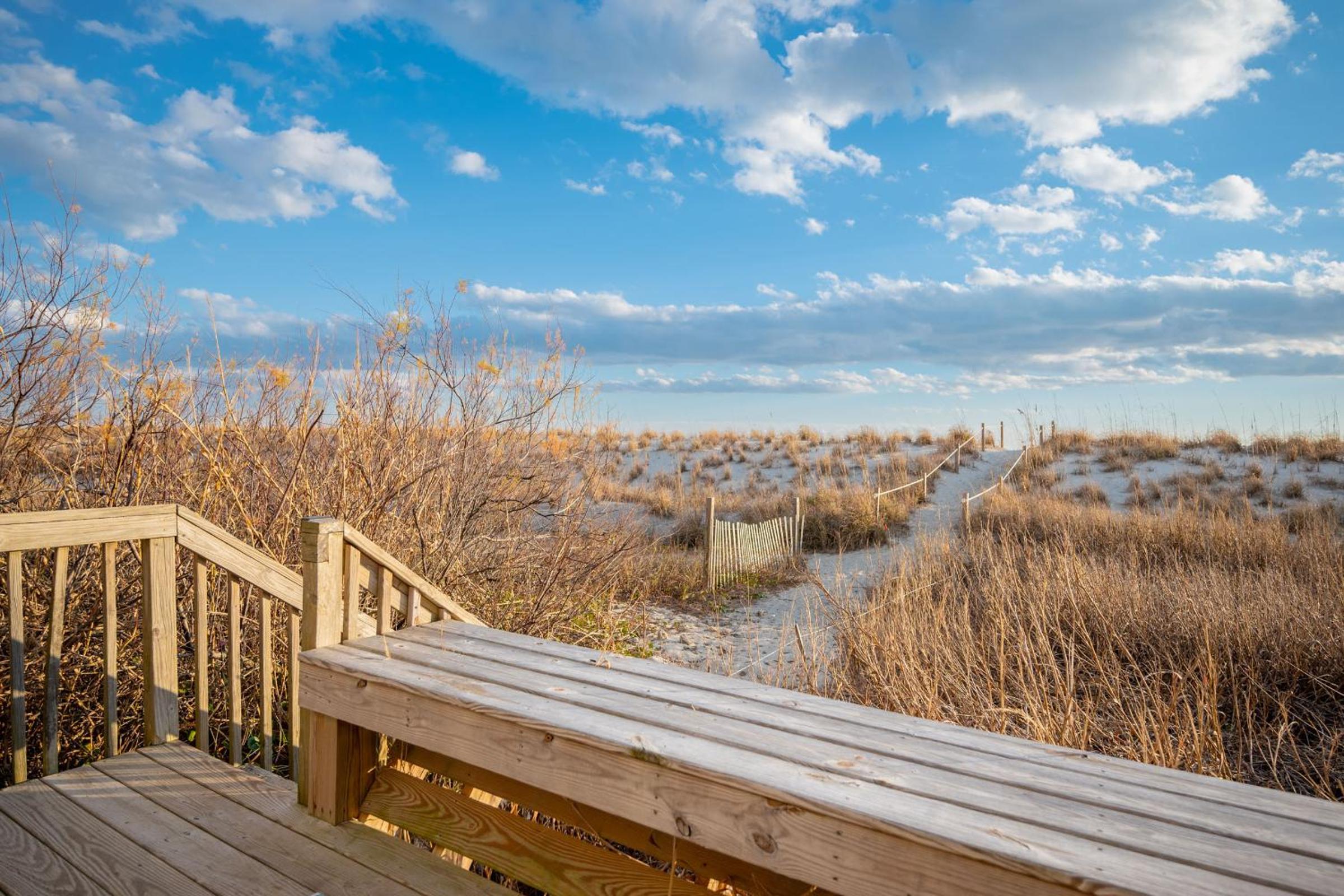 Photo 59