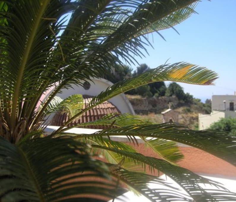 Photo 43
