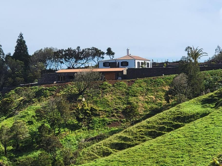 Quinta Erva Doce view 5