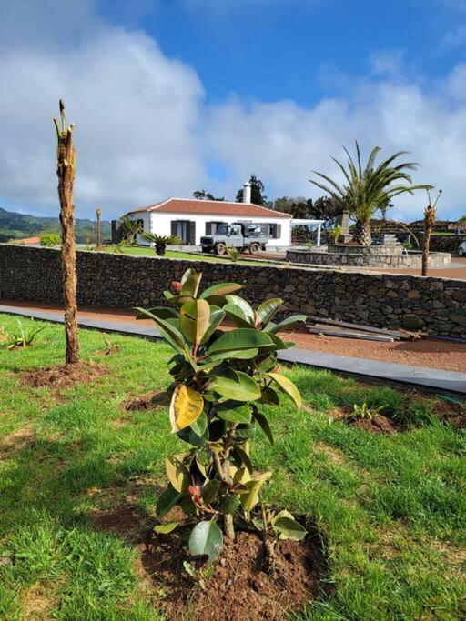 Quinta Erva Doce view 3