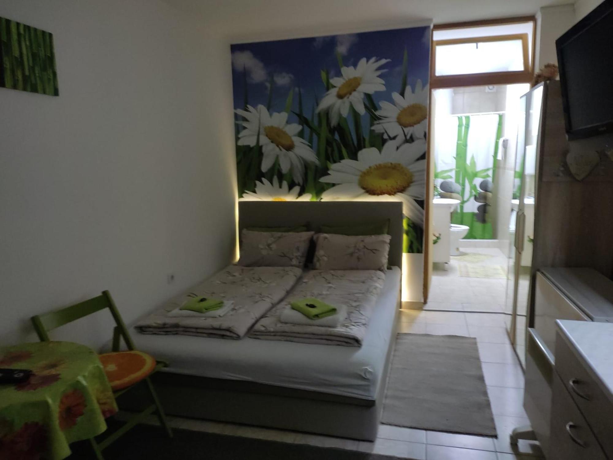 Nela Apartmani view 5