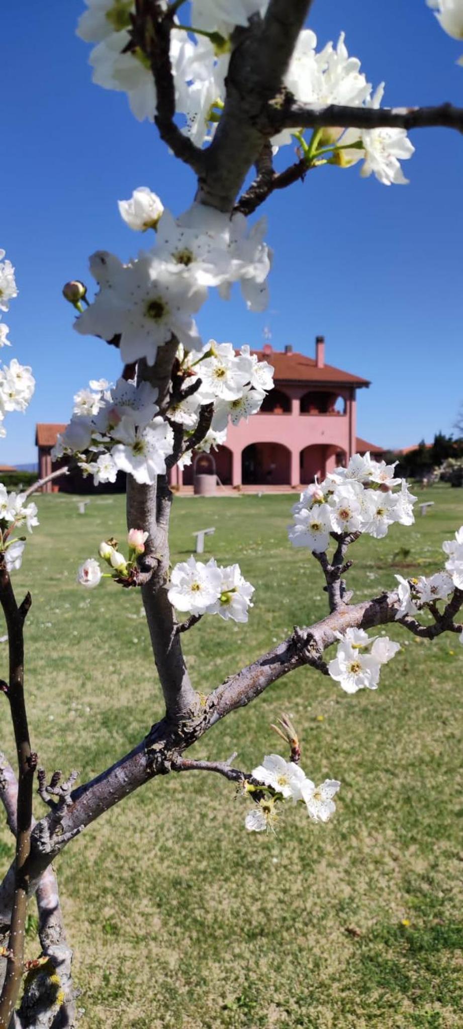 Agriturismo Podere Cirene