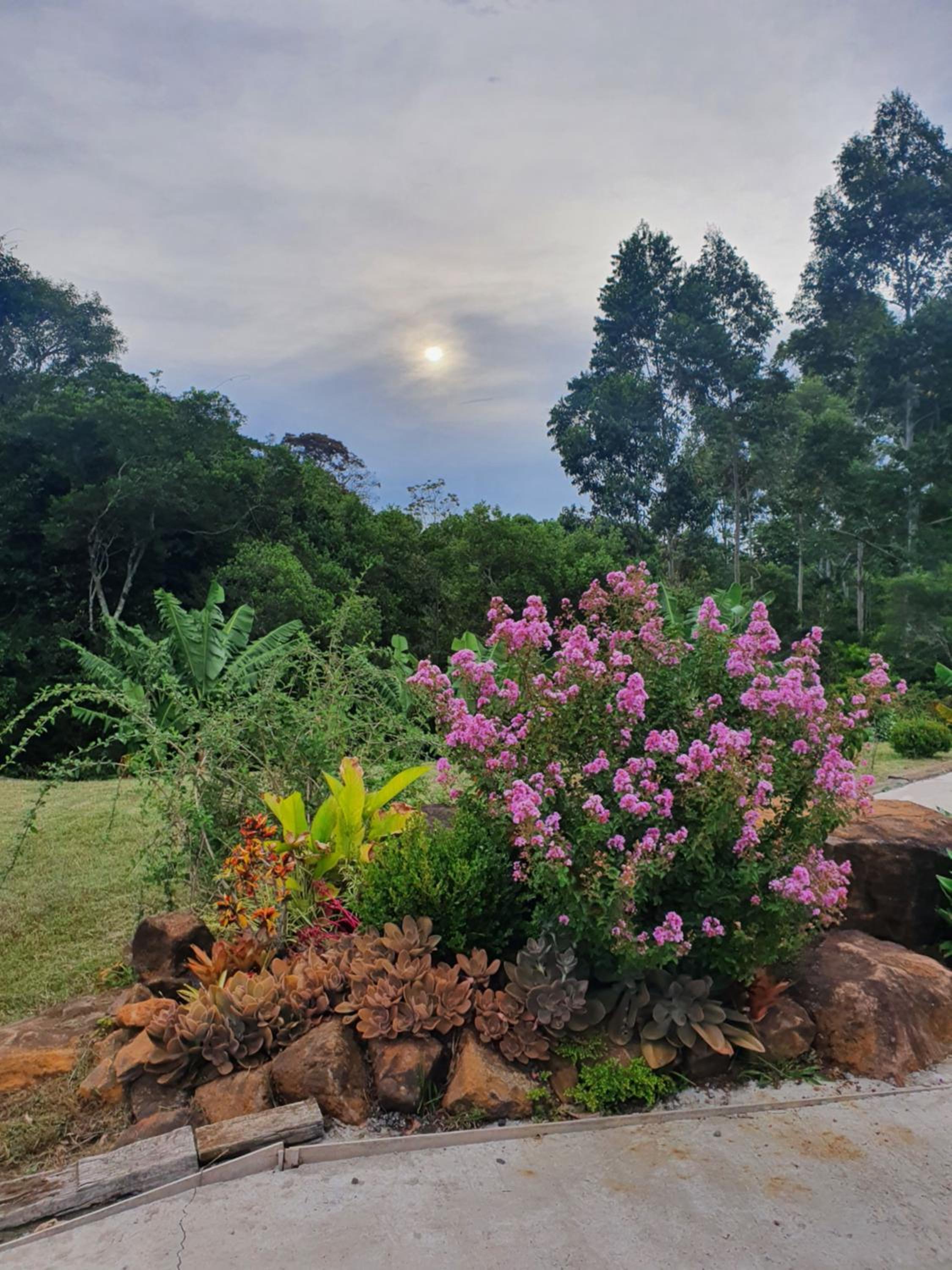 Rancho 3 Guri