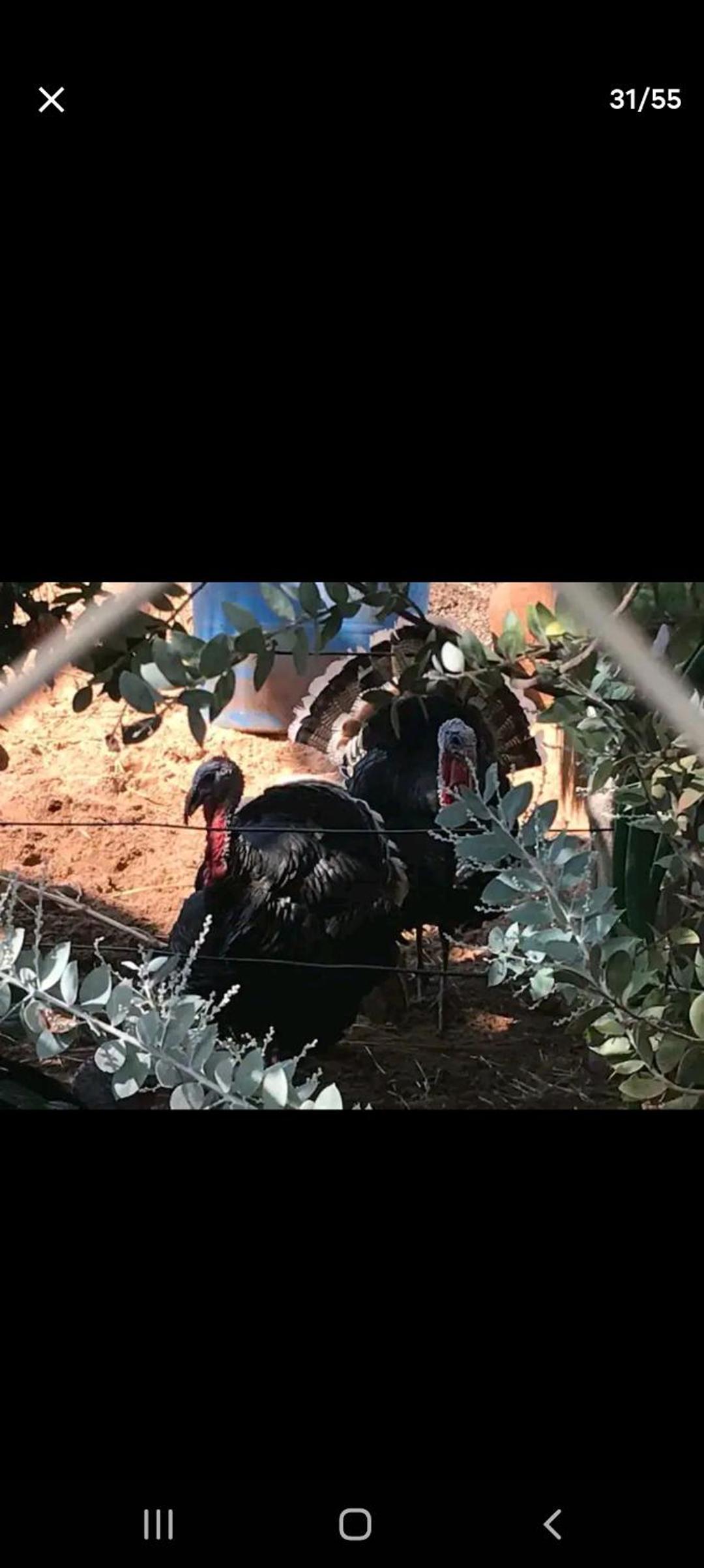 CHÁCARA COM VISTA ESPETACULAR