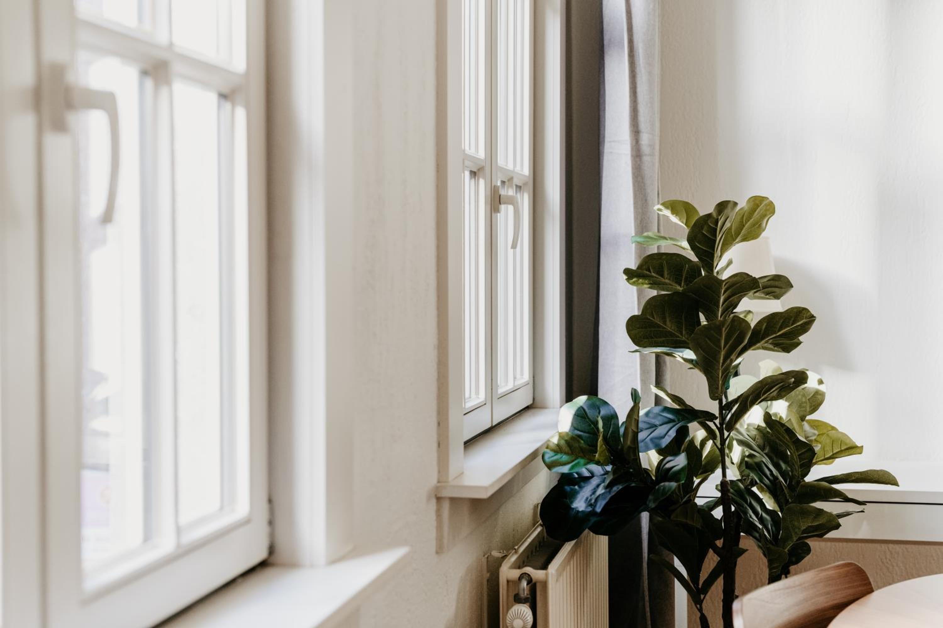 Cathedral view apartment