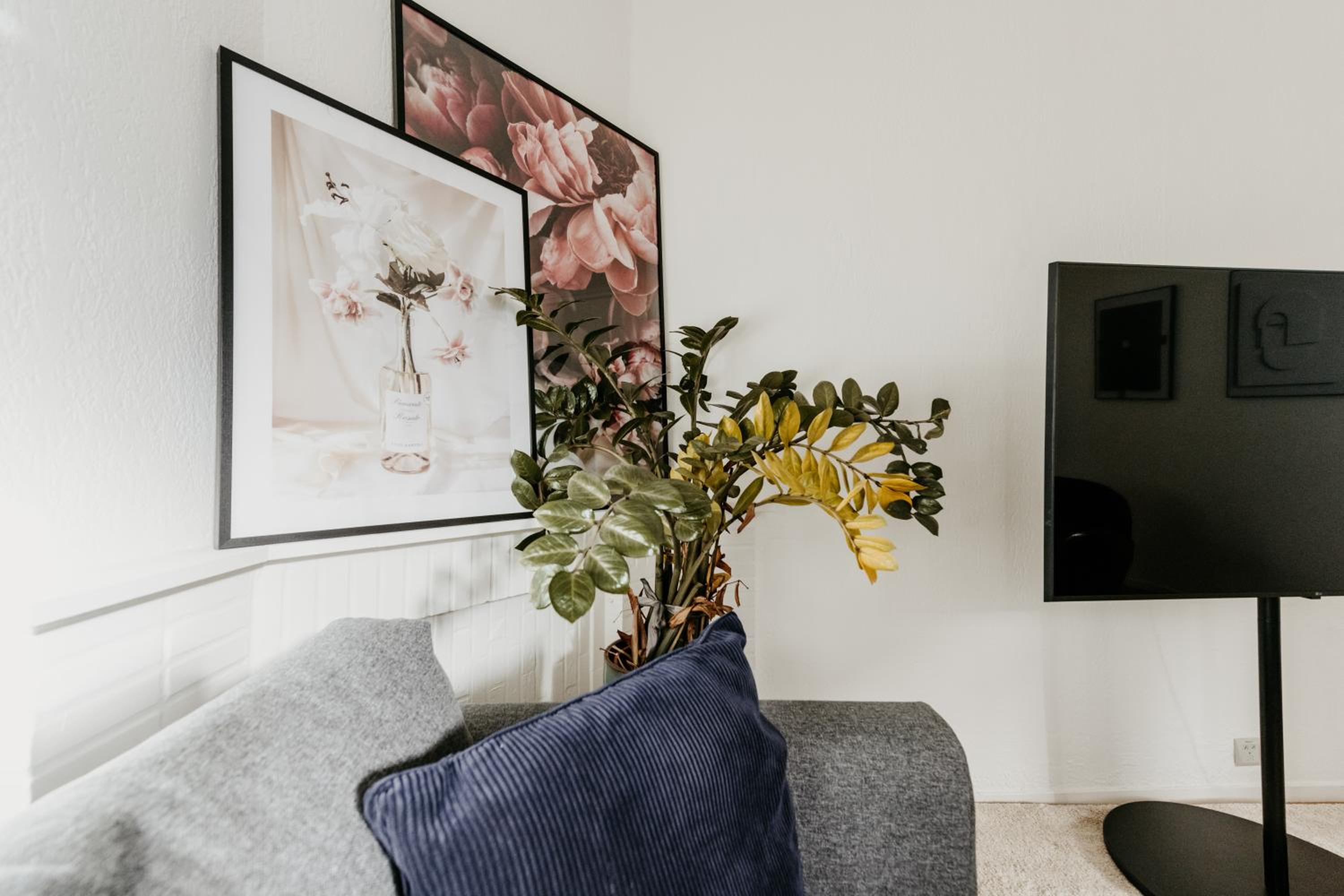 Cathedral view apartment