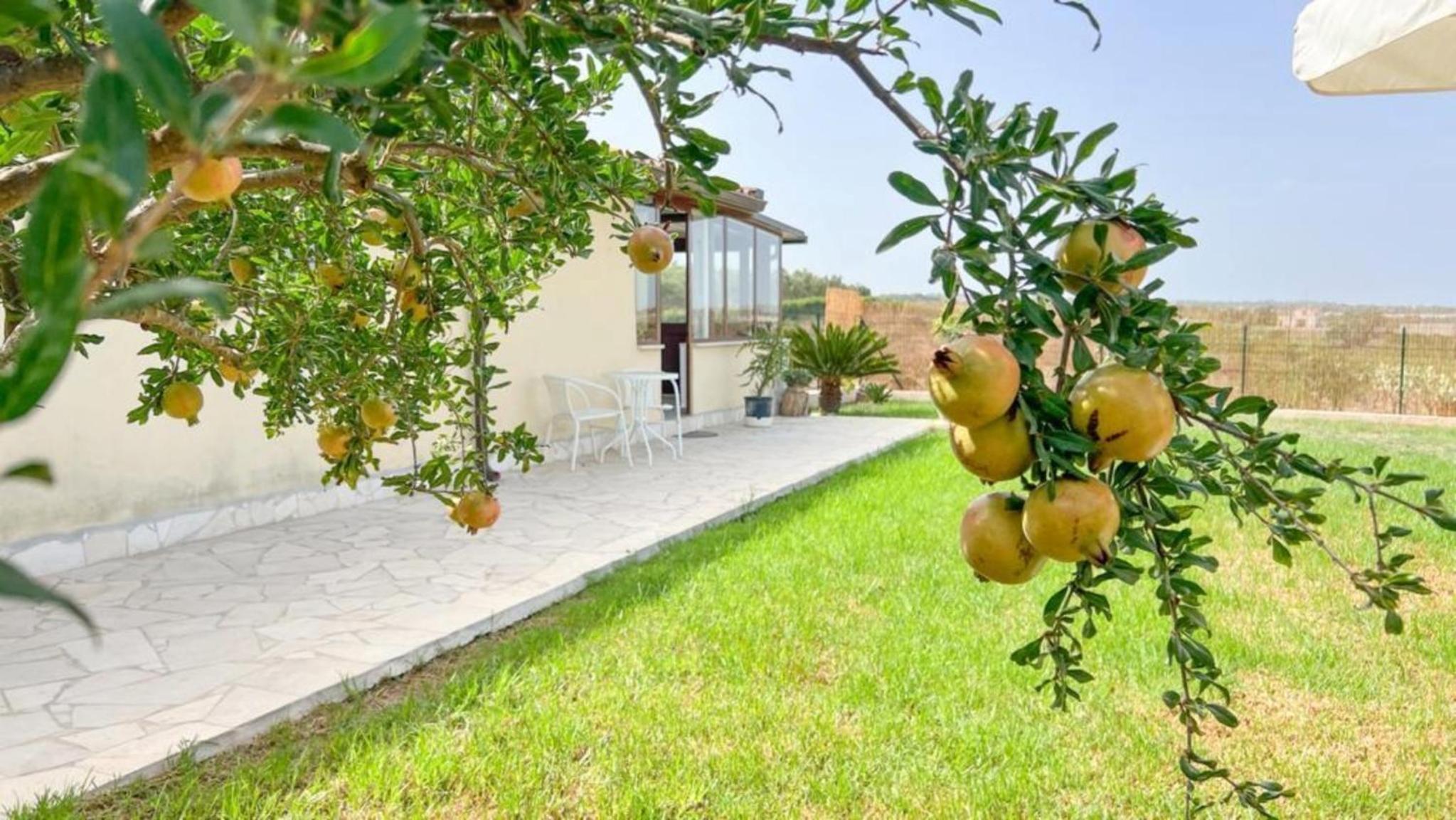 Casa Cantina Scalecci