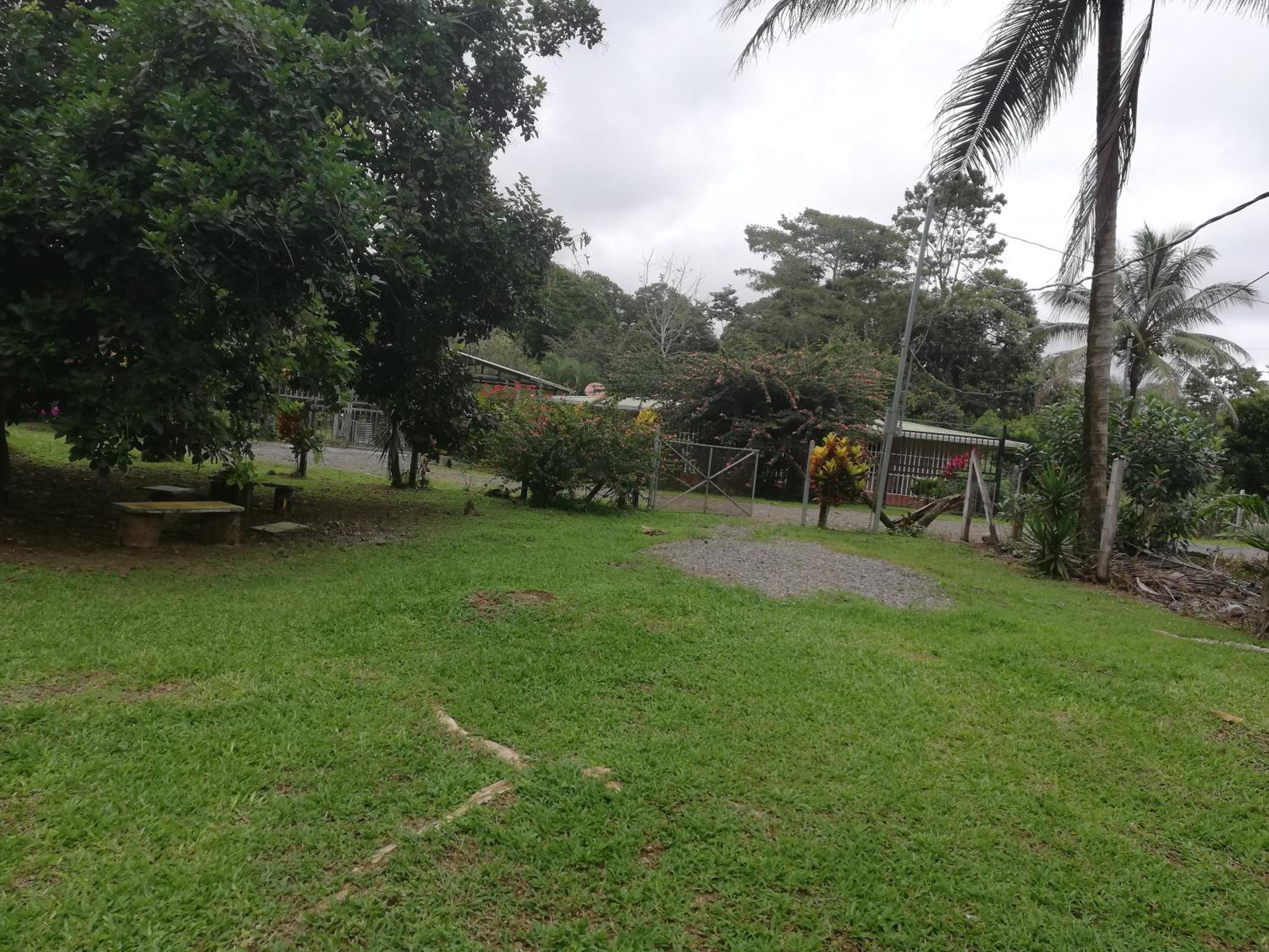 Paraíso Verde