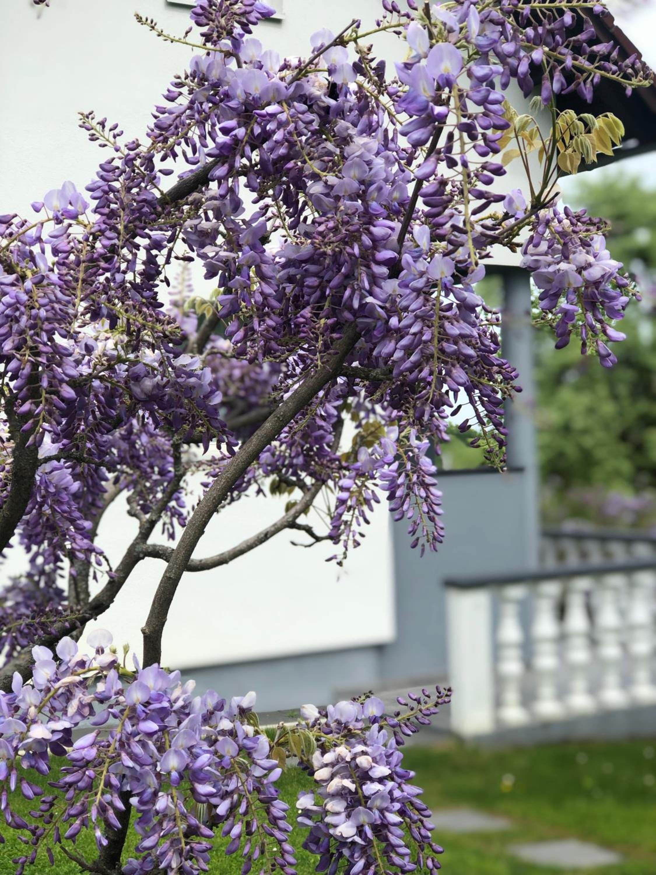 Odisea Hill House - Modern Holiday Home with swimming pool, sauna, jacuzzi, WiFi and 2 bedrooms, near Varazdin