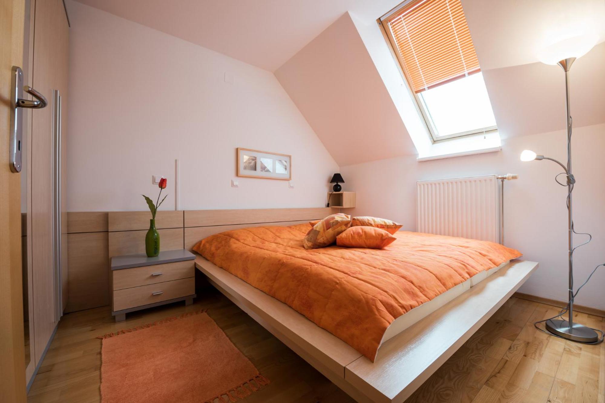 Apartments Moravske Toplice view 4