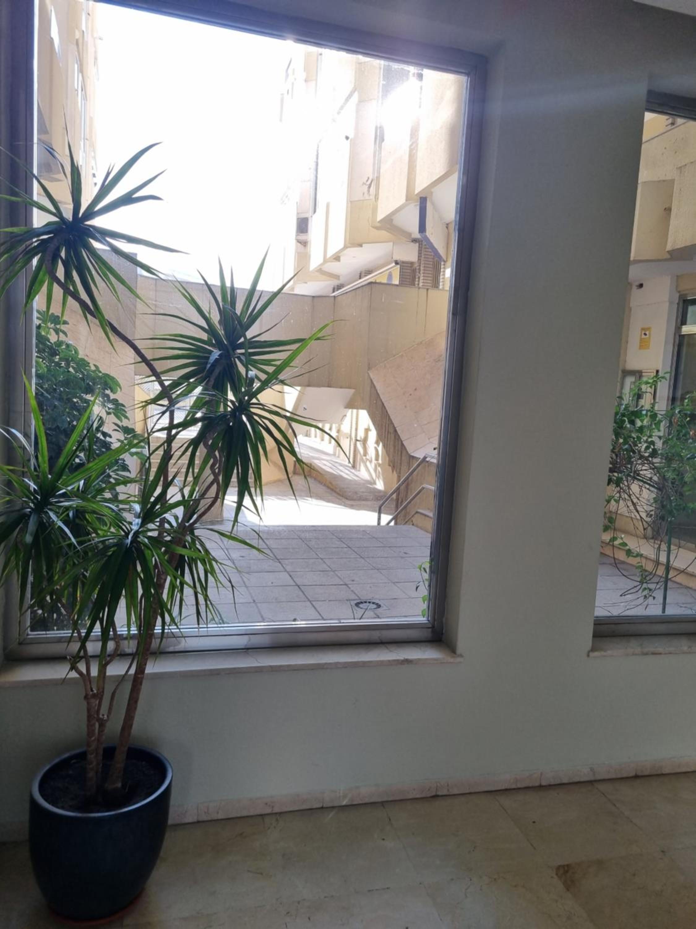 Apartamento Playa Victoria I