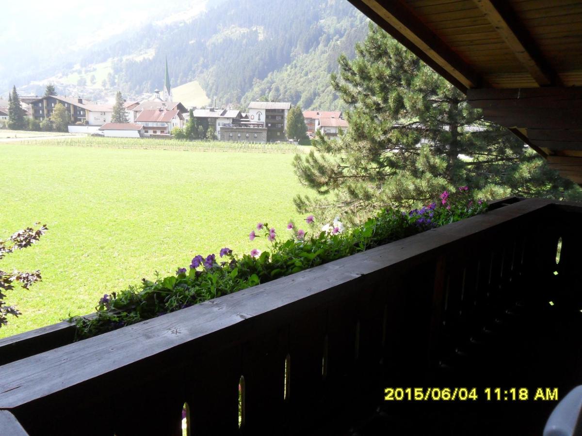 Photo 8