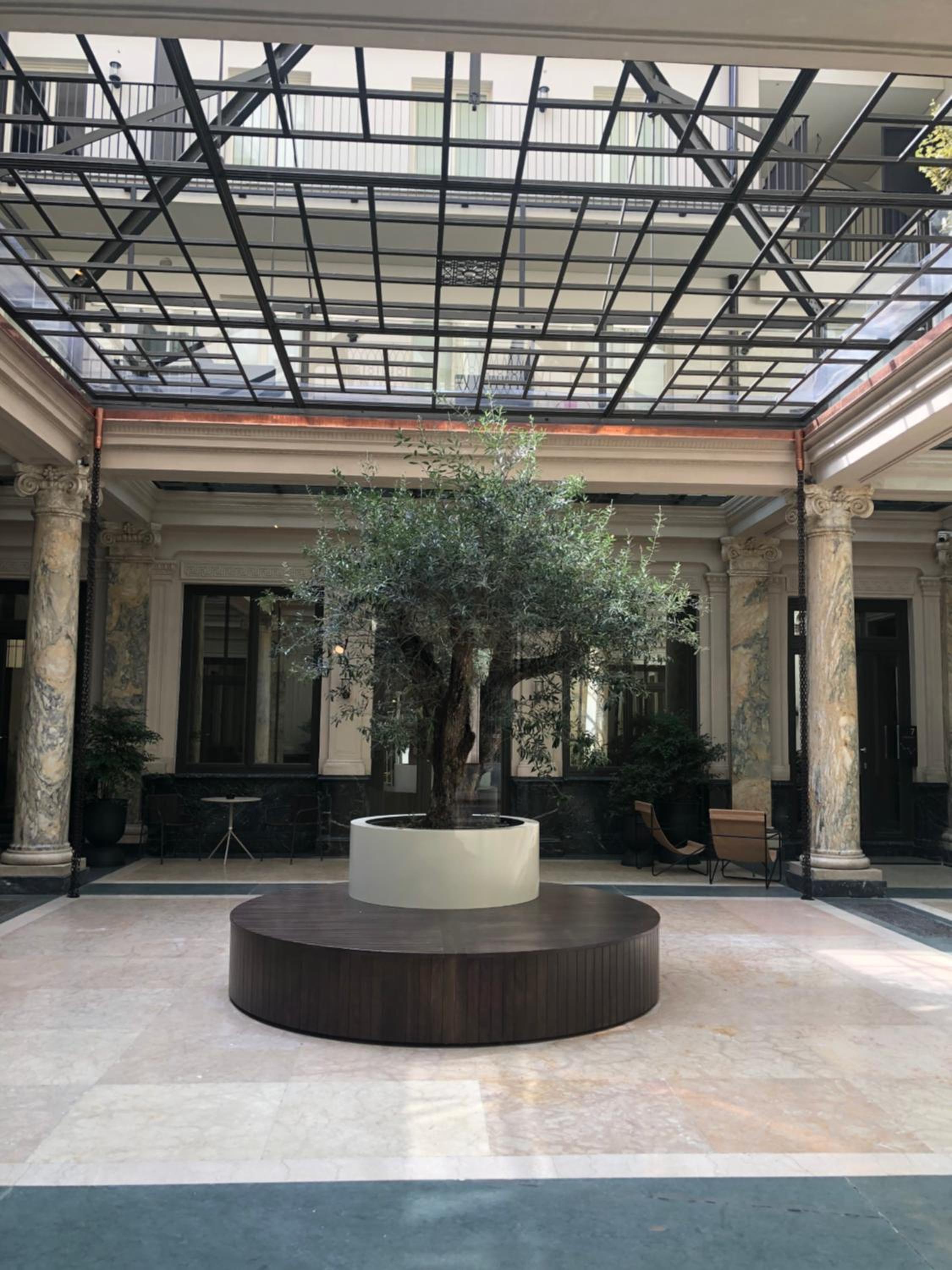 recepcion & lobby