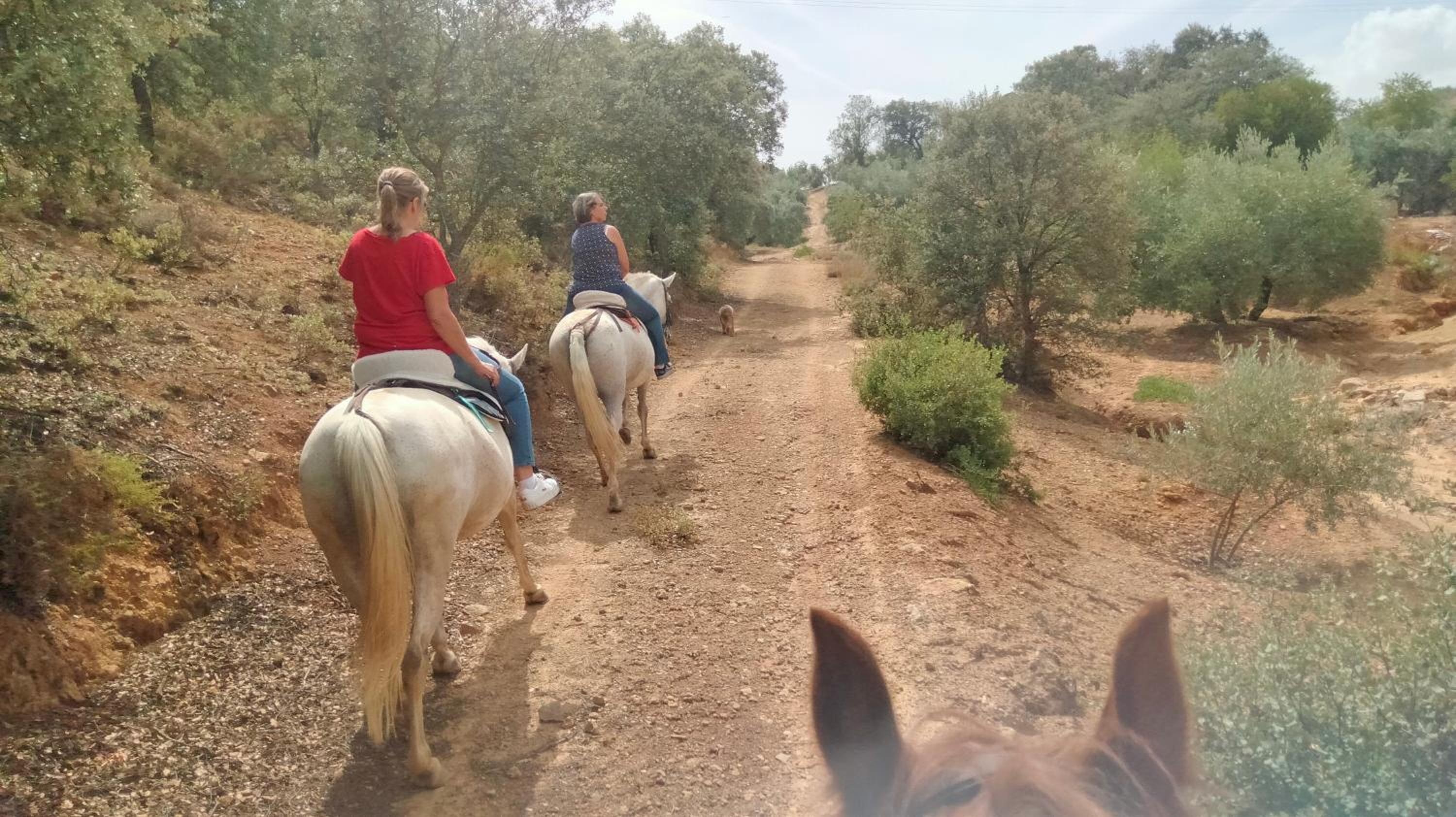 Finca Los Jacaros