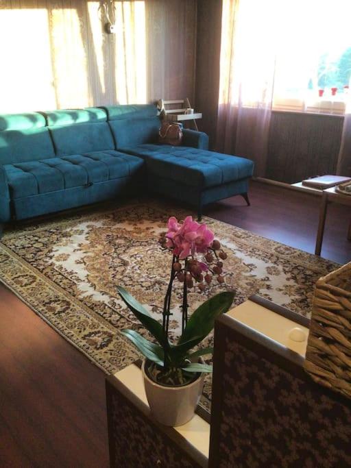 Luxurious Specious appartment