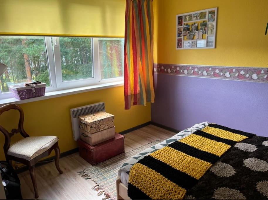 Luxurious Specious appartment