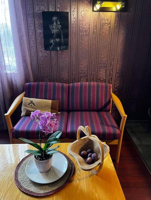 Luxurious Specious appartment