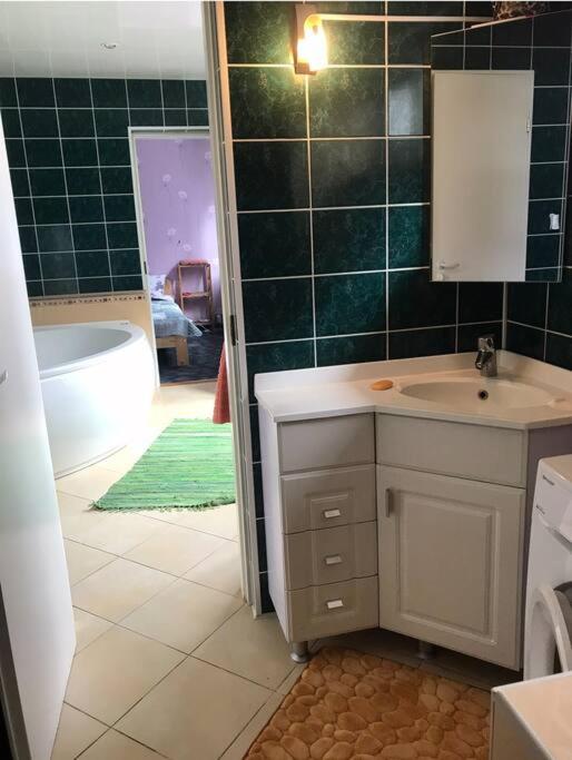 Luxurious Specious appartment