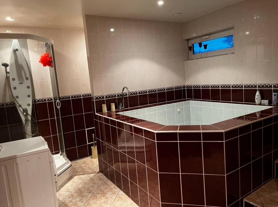 Luxurious Specious appartment