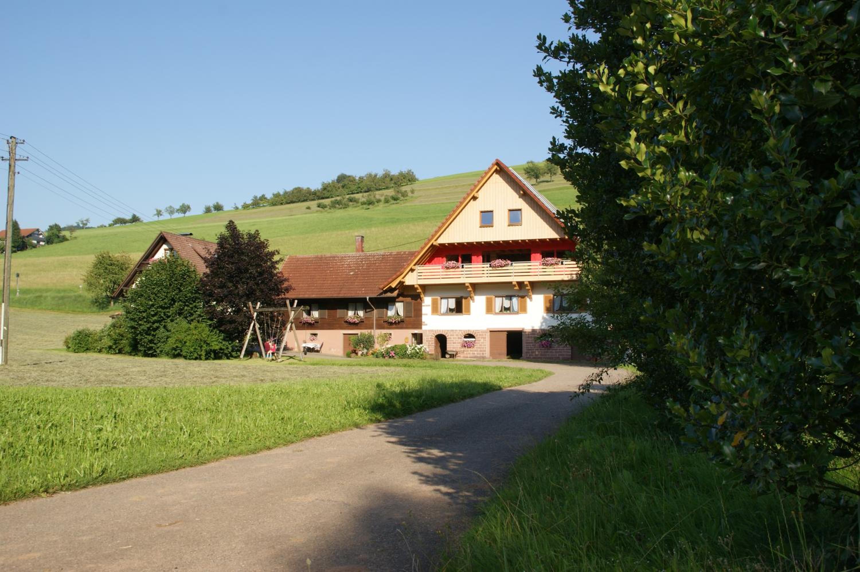 Photo 9
