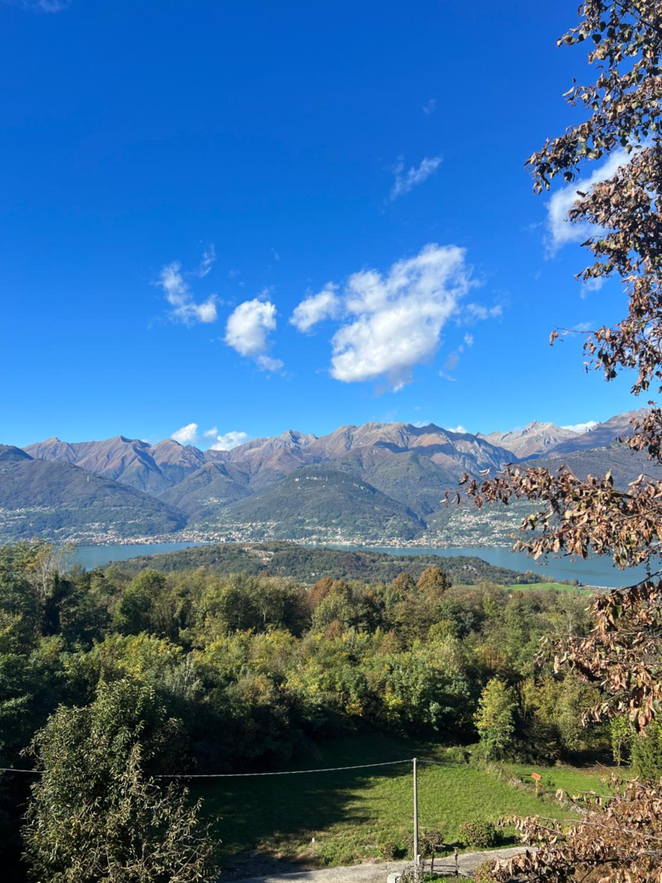 Photo 47