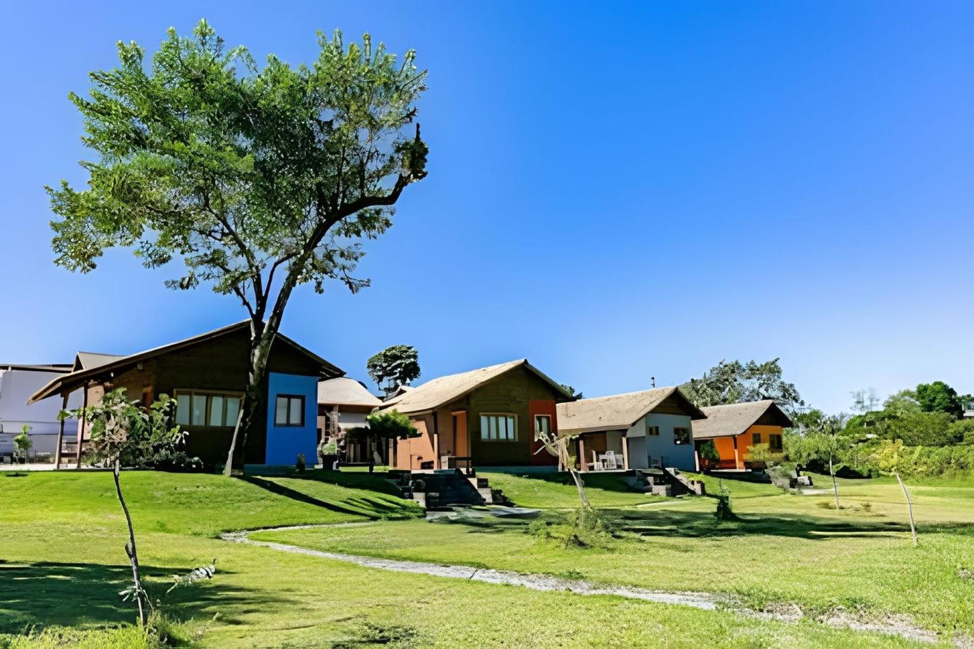 Cabanas aconchegantes. Desfrute da natureza e praia