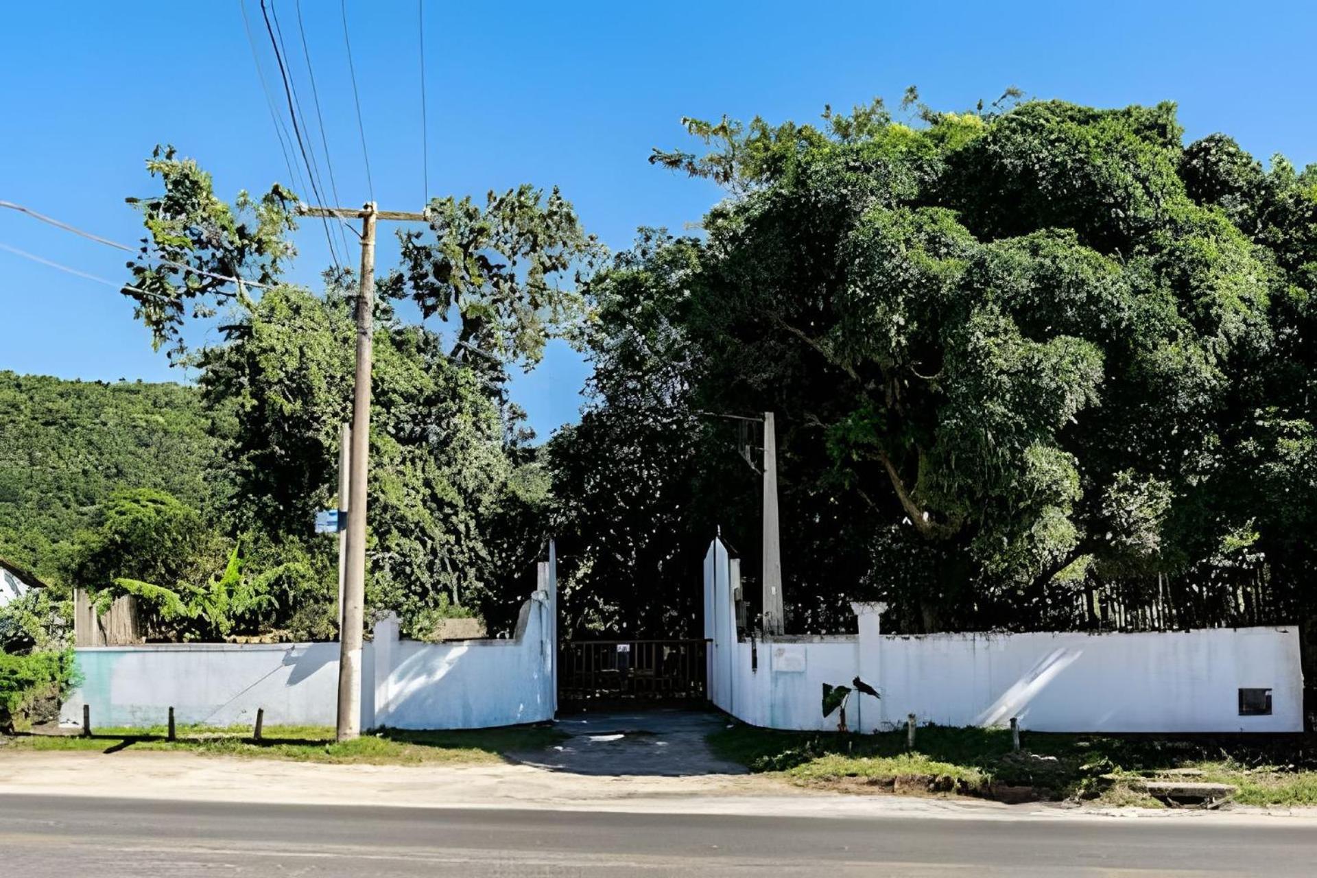 Cabanas aconchegantes. Desfrute da natureza e praia