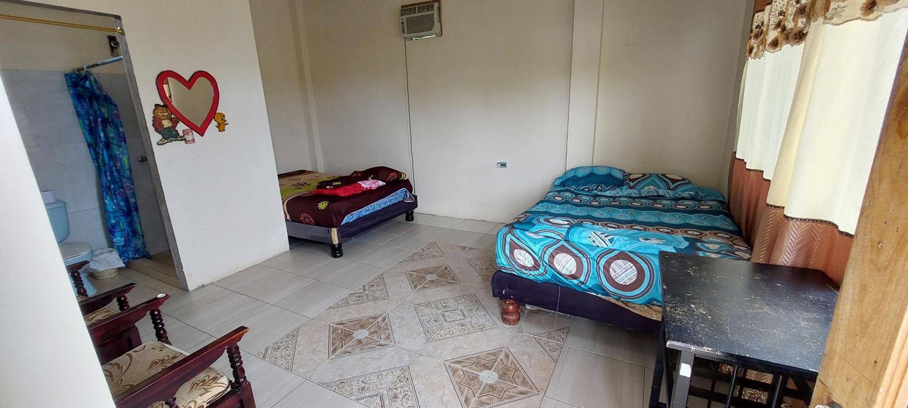 Casa David