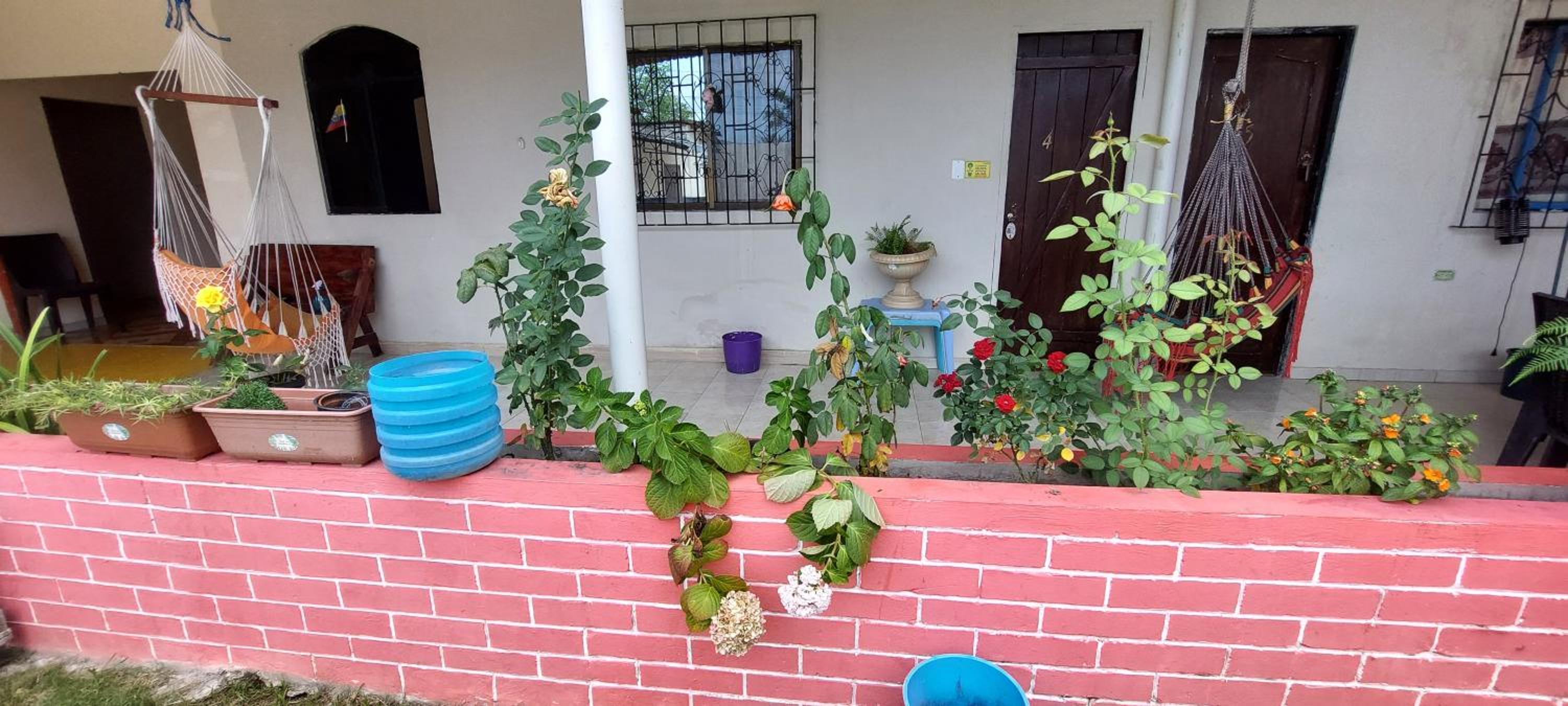 Casa David