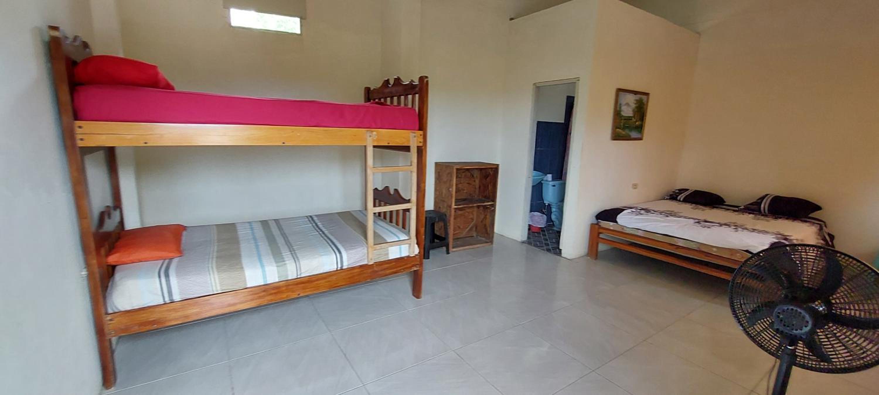 Casa David