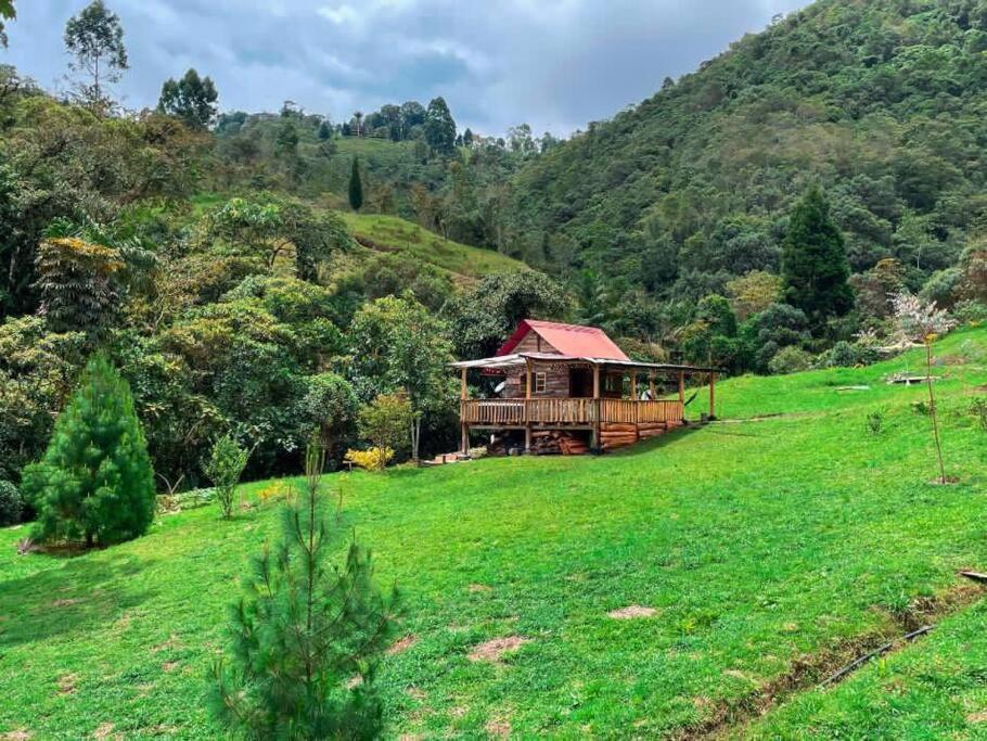 Glamping Villa del Bosque