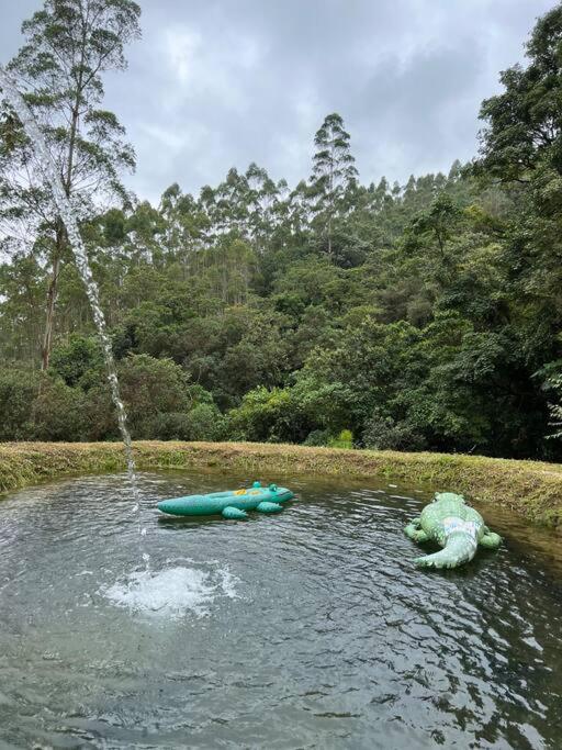 Glamping Villa del Bosque