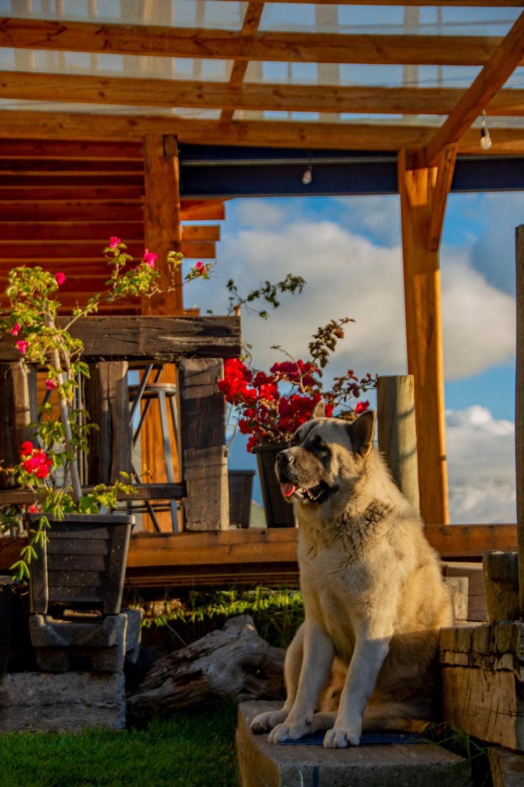 Glamping La Montaña
