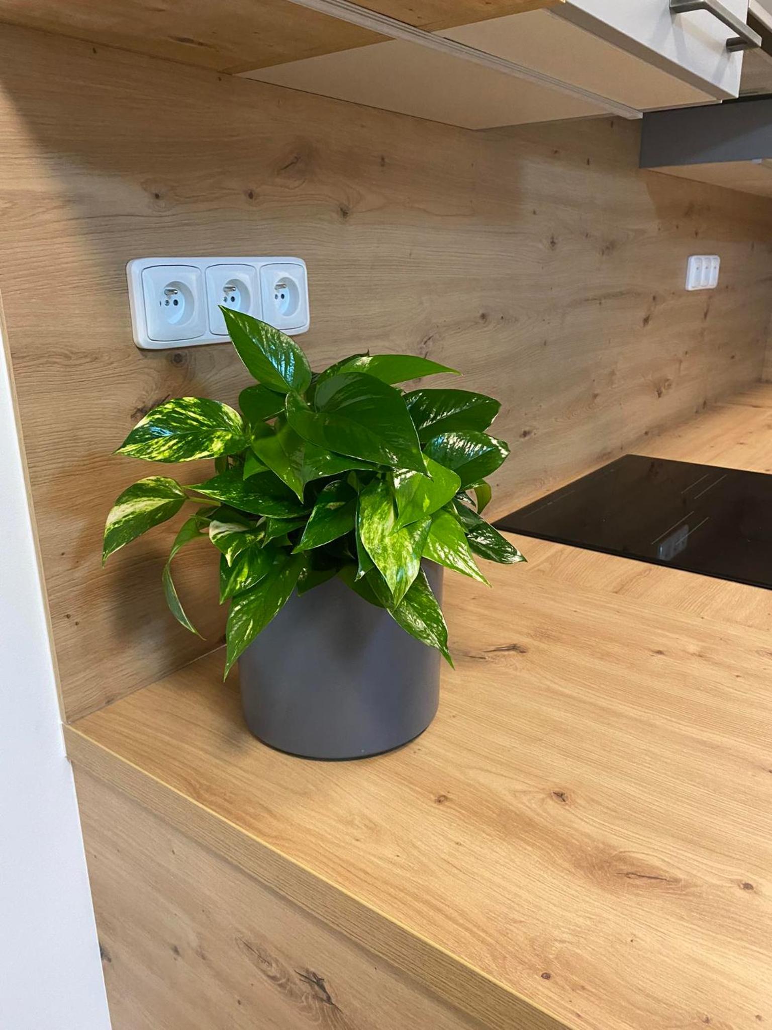 Apartmány Hodonín