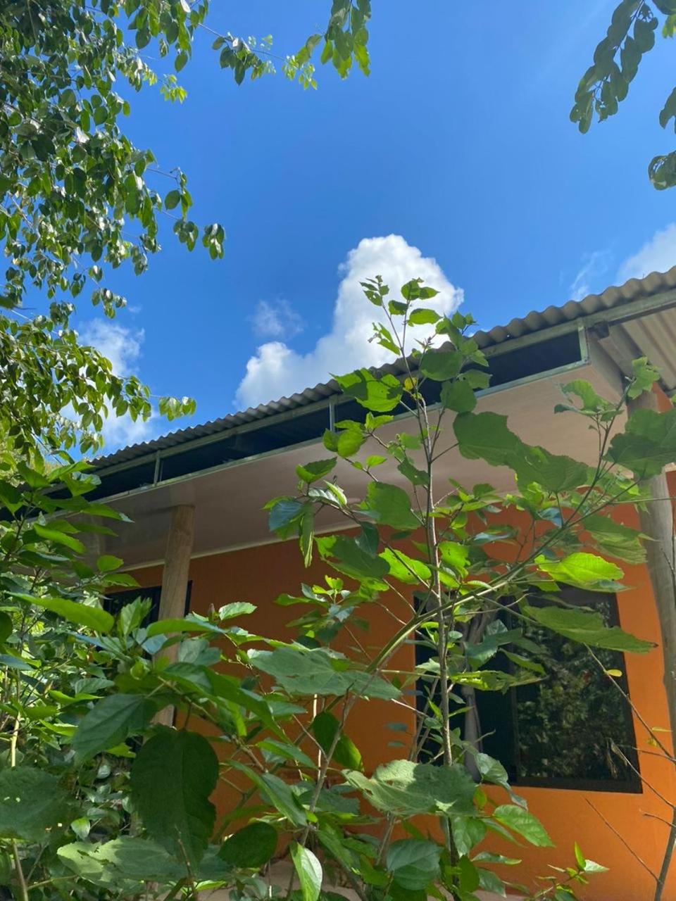 Cabinas Corcovado Green Parrot, Los Planes Drake
