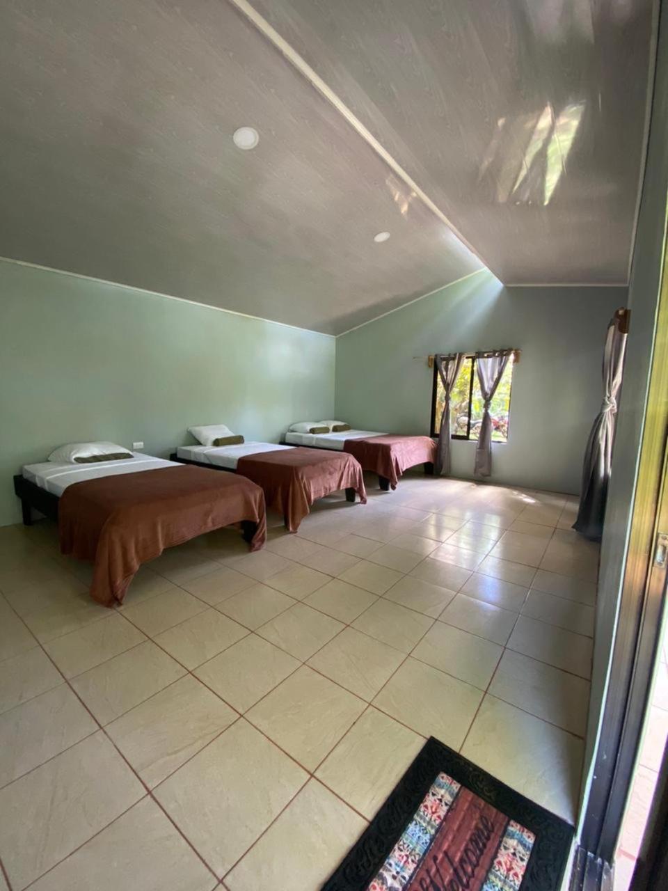 Cabinas Corcovado Green Parrot, Los Planes Drake
