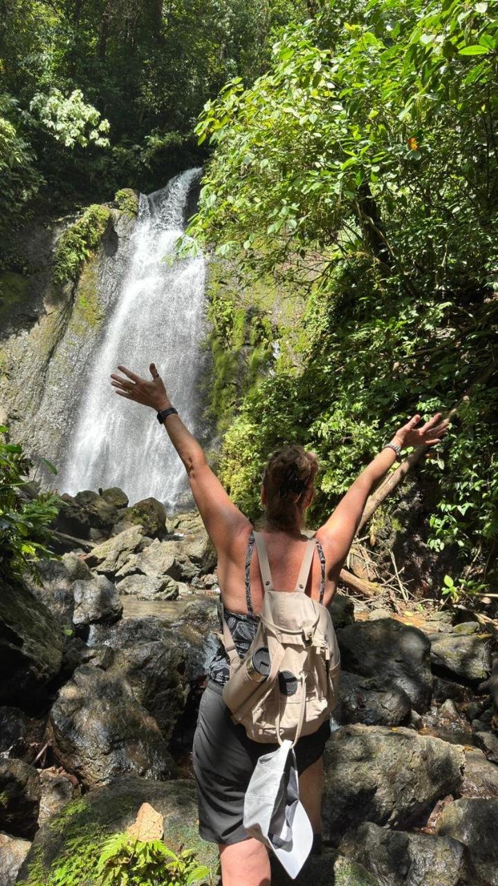 Cabinas Corcovado Green Parrot, Los Planes Drake
