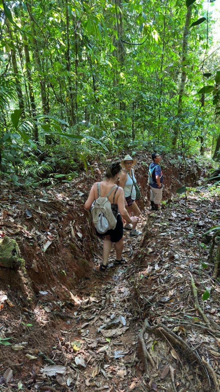 Cabinas Corcovado Green Parrot, Los Planes Drake