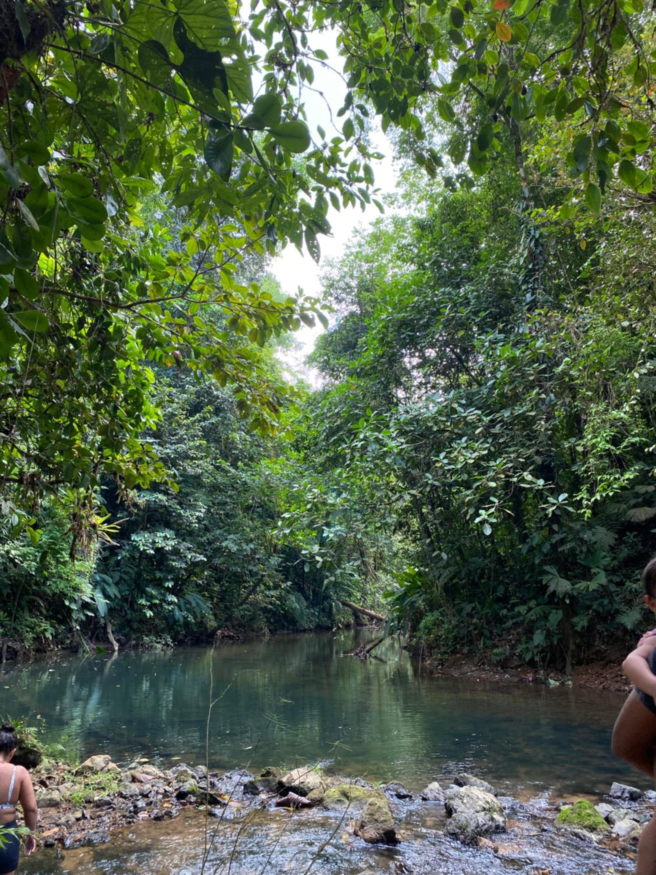 Cabinas Corcovado Green Parrot, Los Planes Drake