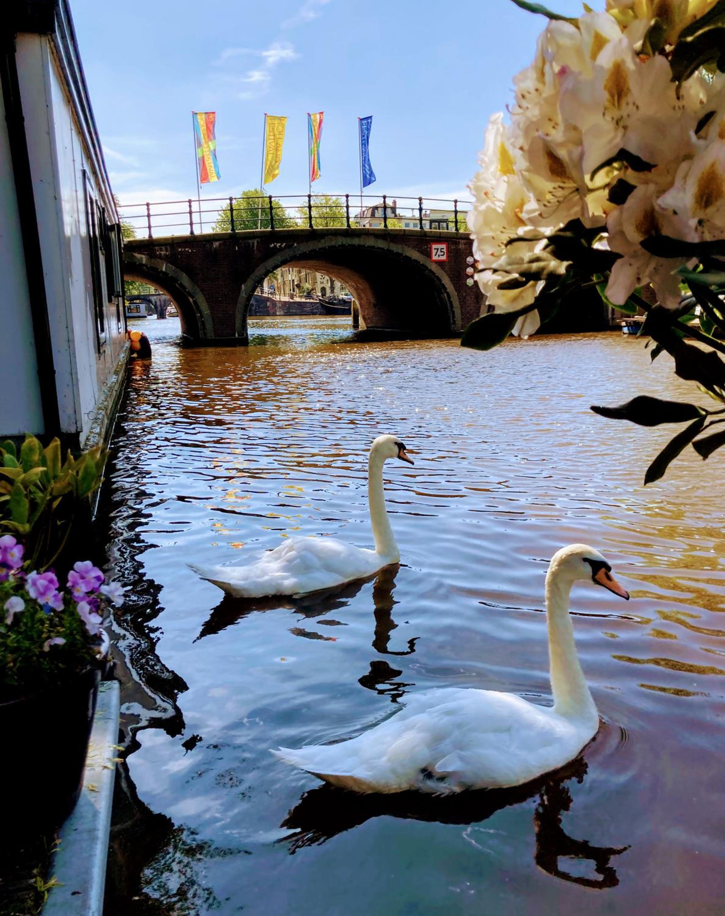 Houseboat Orpheus
