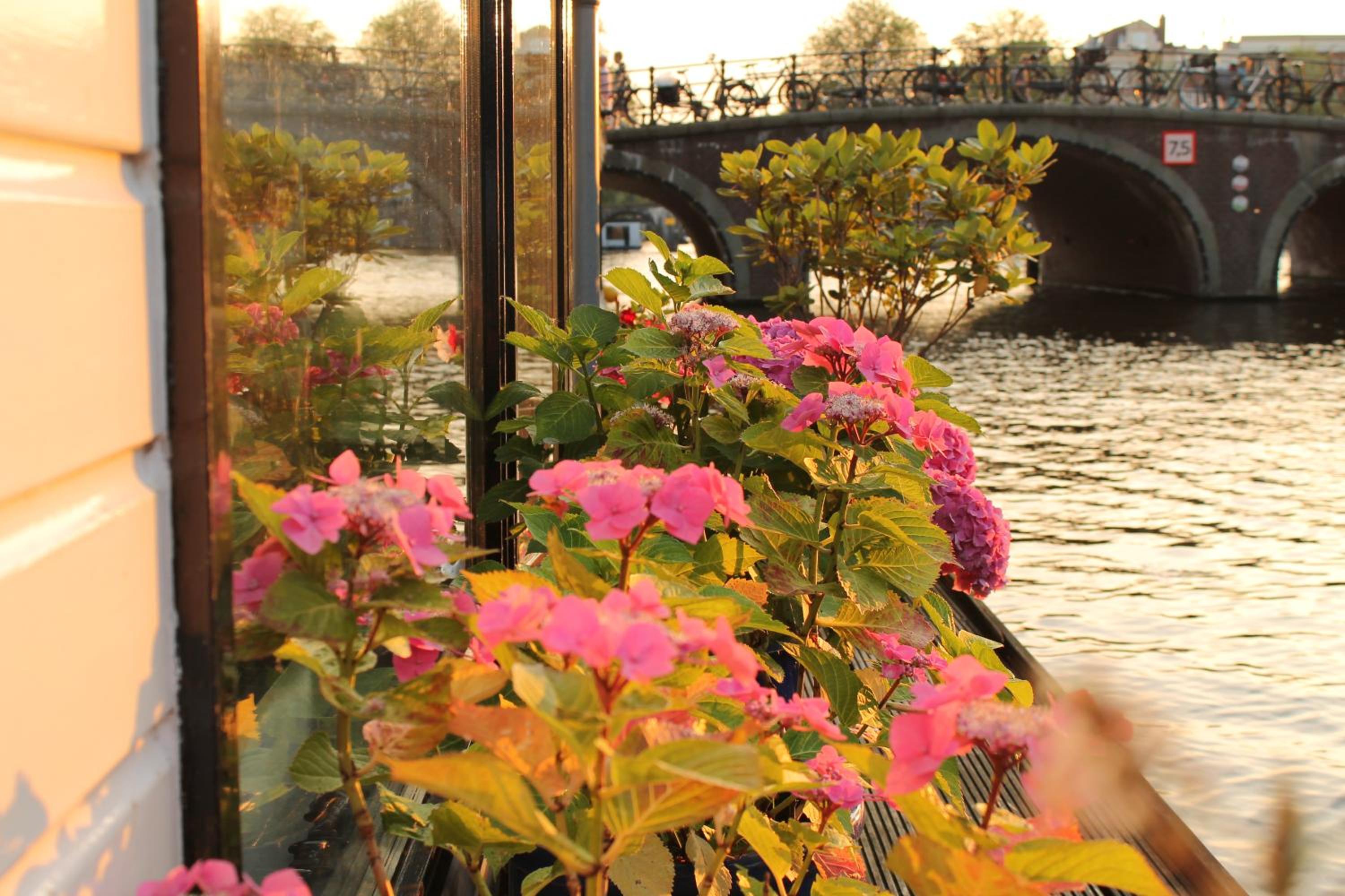 Houseboat Orpheus photo 4