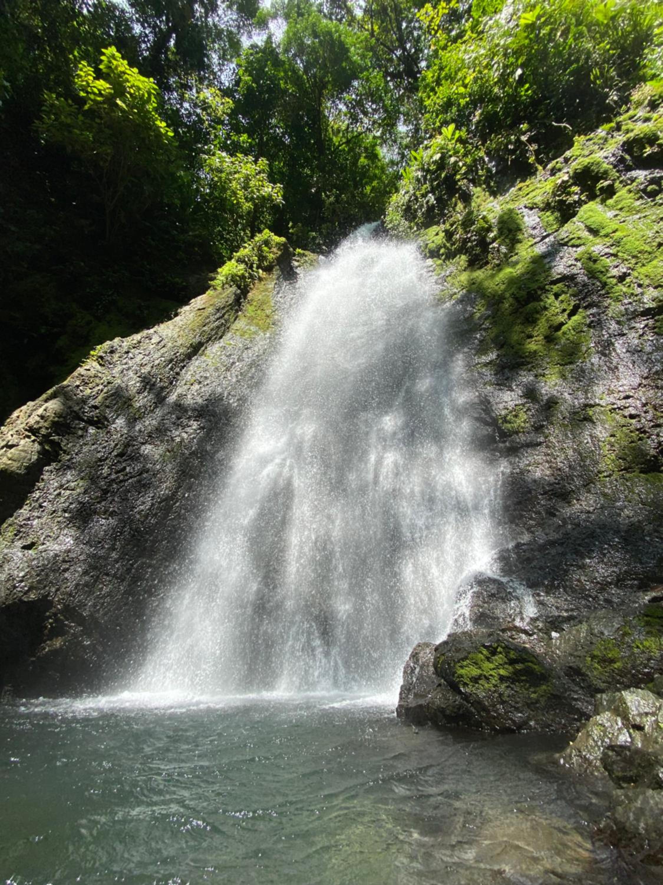 Cabinas Corcovado Green Parrot, Los Planes Drake