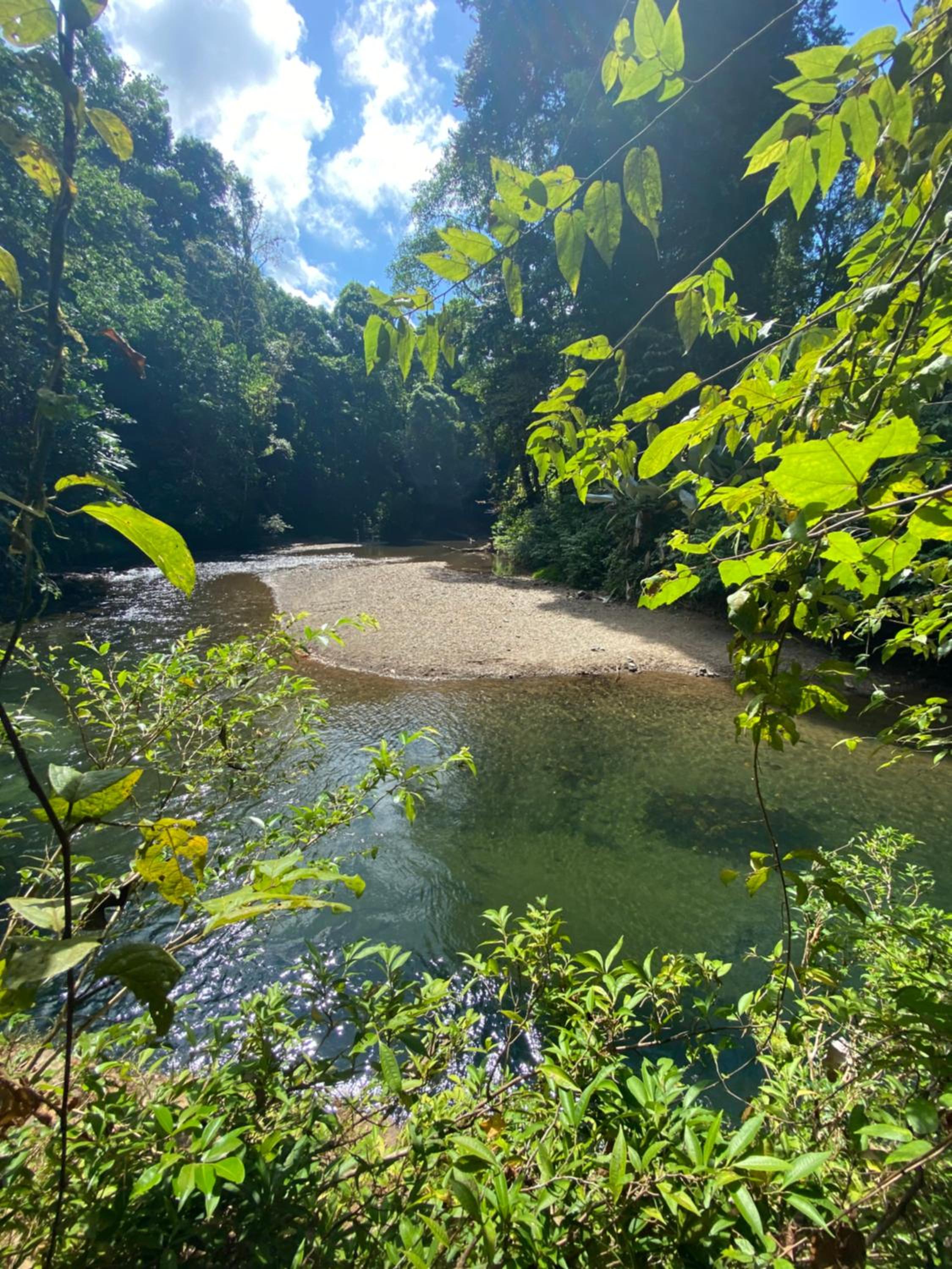 Cabinas Corcovado Green Parrot, Los Planes Drake