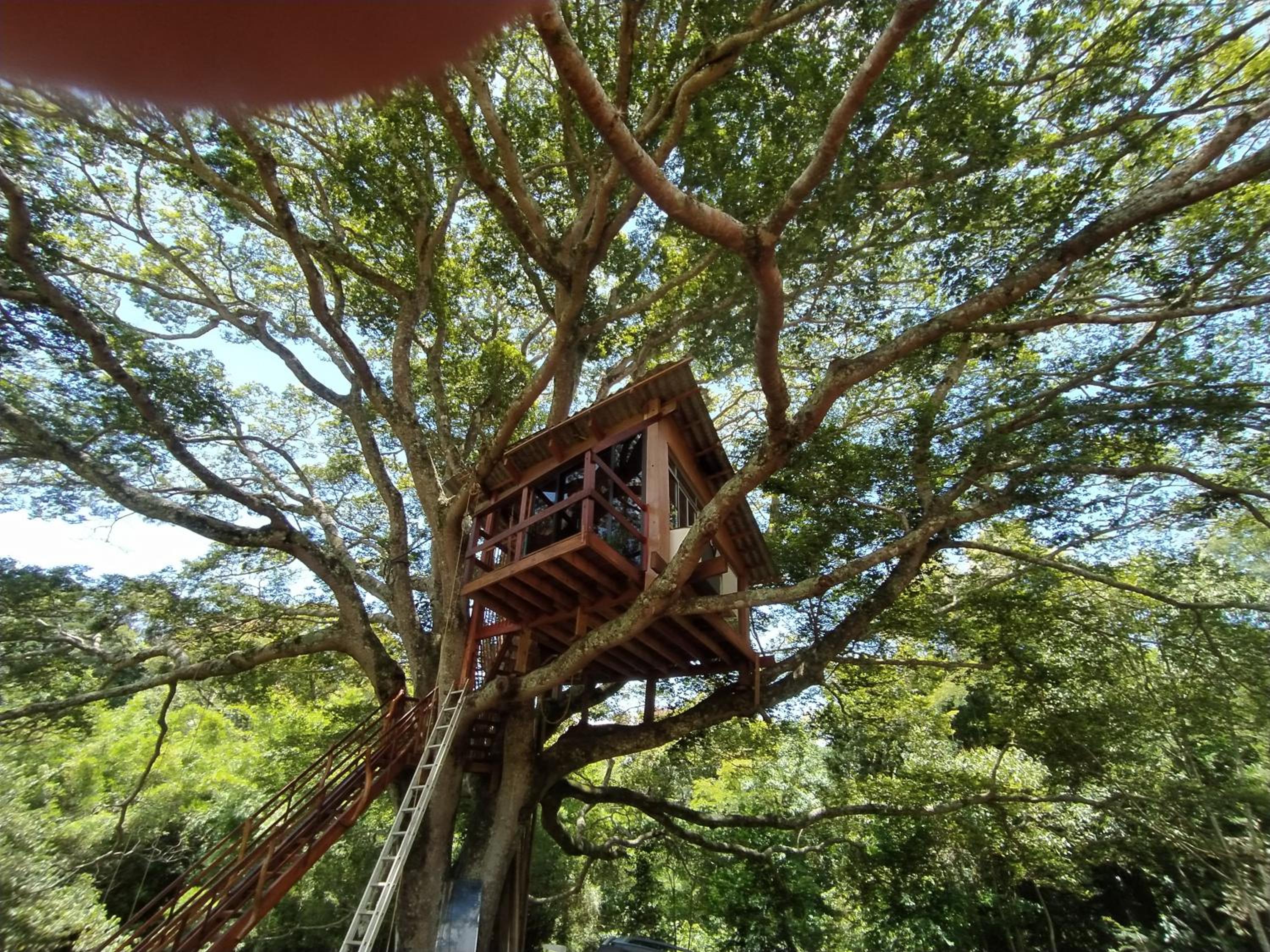 Casa na Árvore sítio Iananda