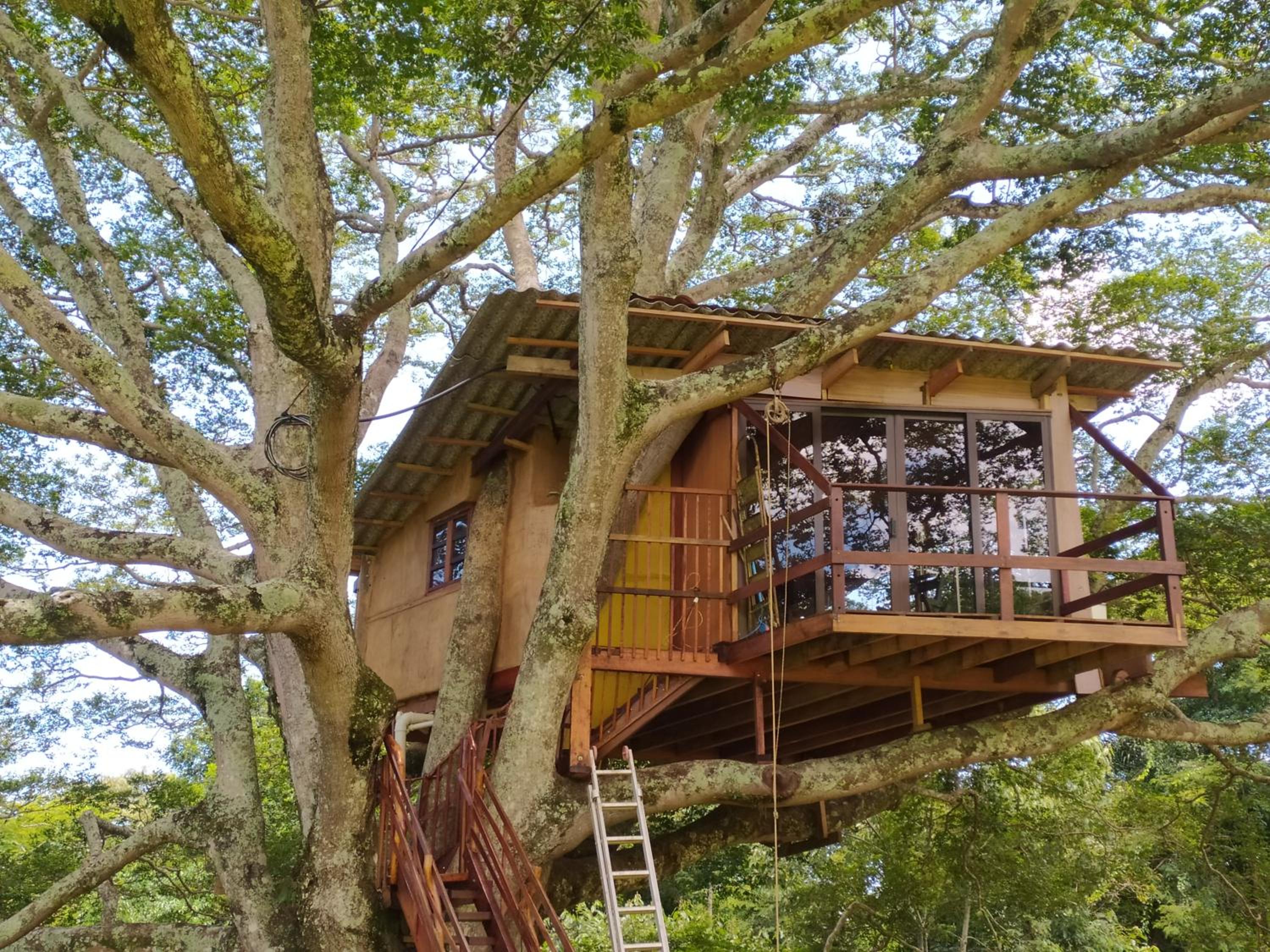 Casa na Árvore sítio Iananda