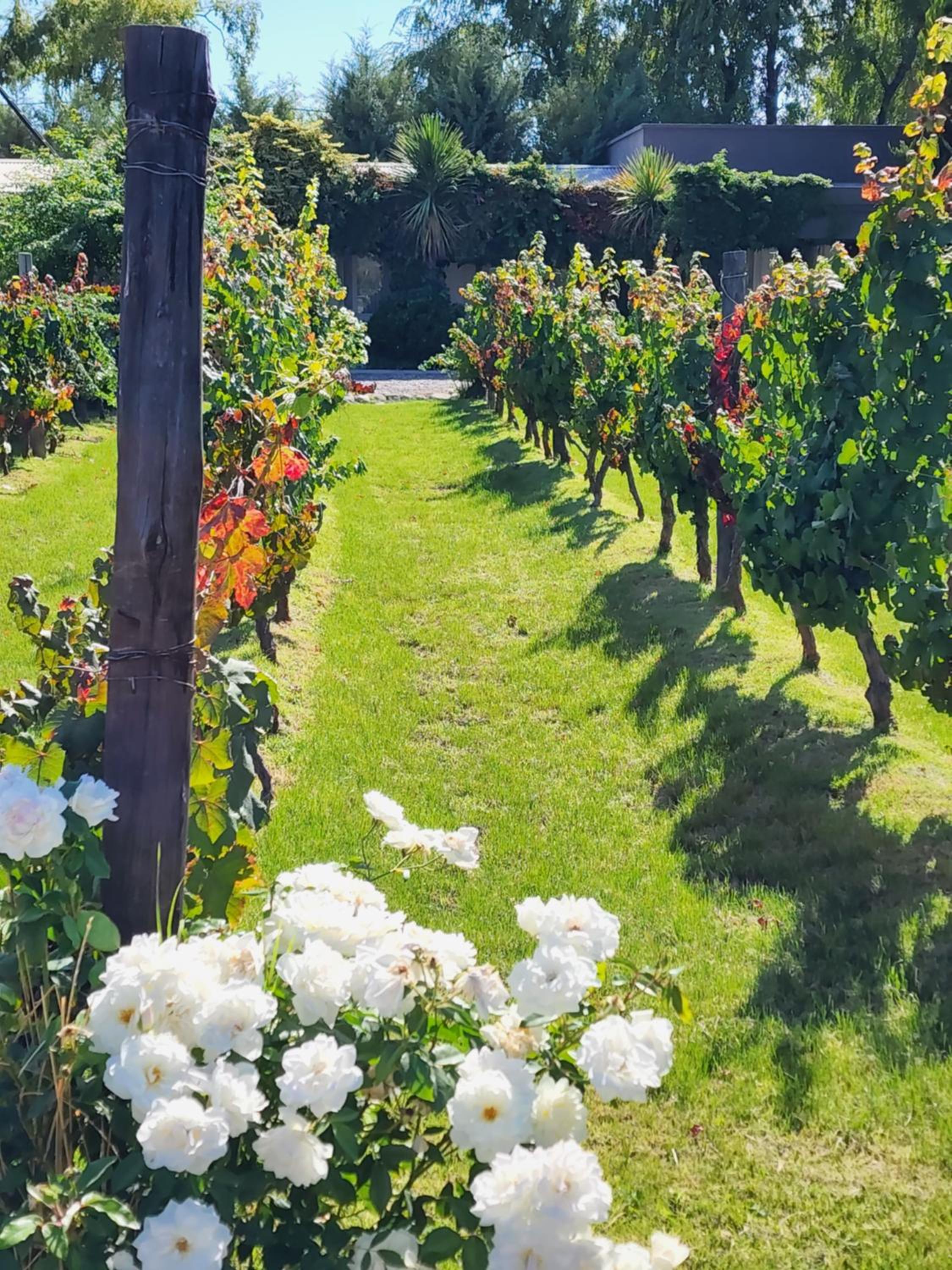 Finca La Puebla