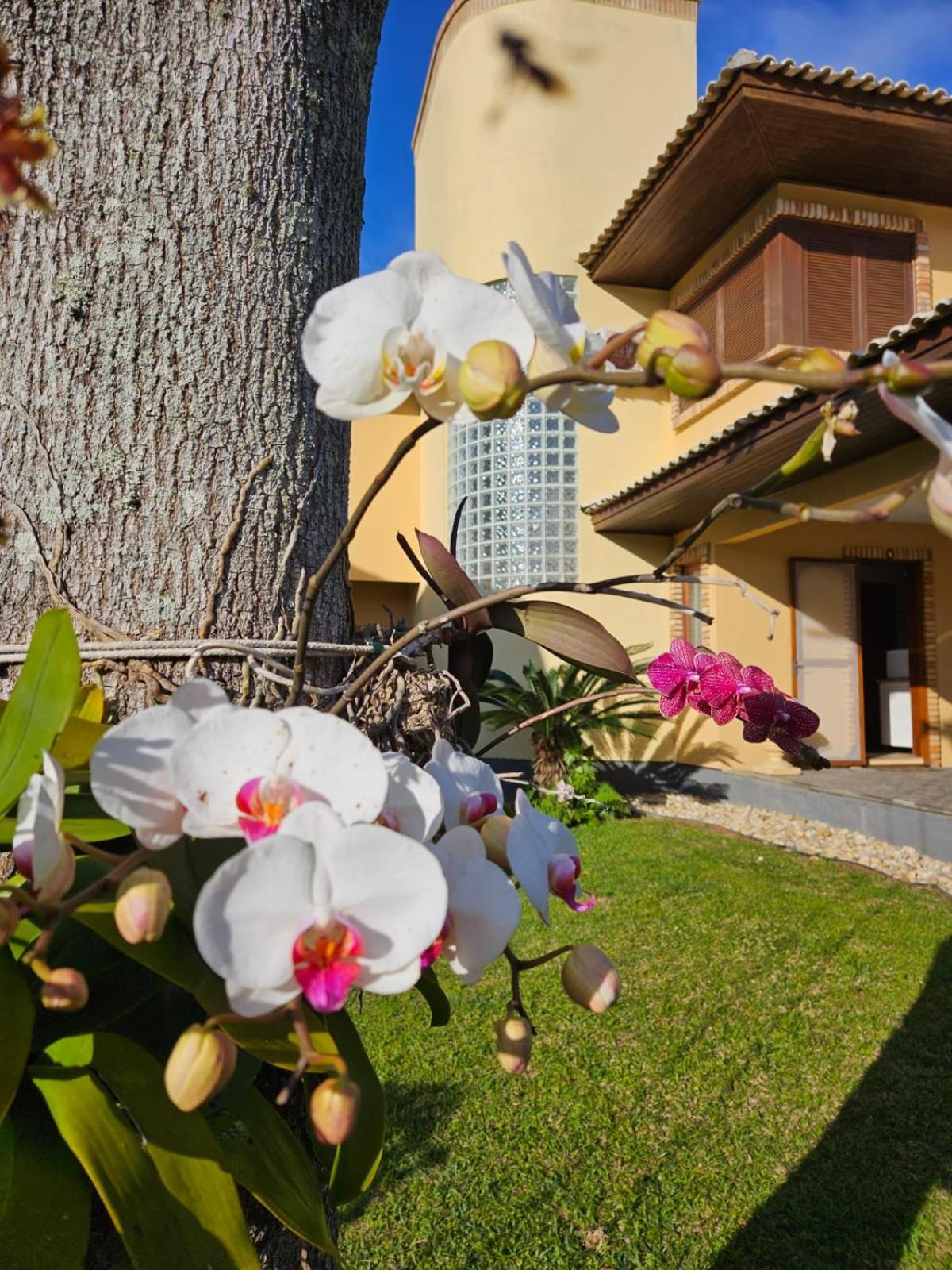 Linda Casa em Florianópolis Paradisíaco