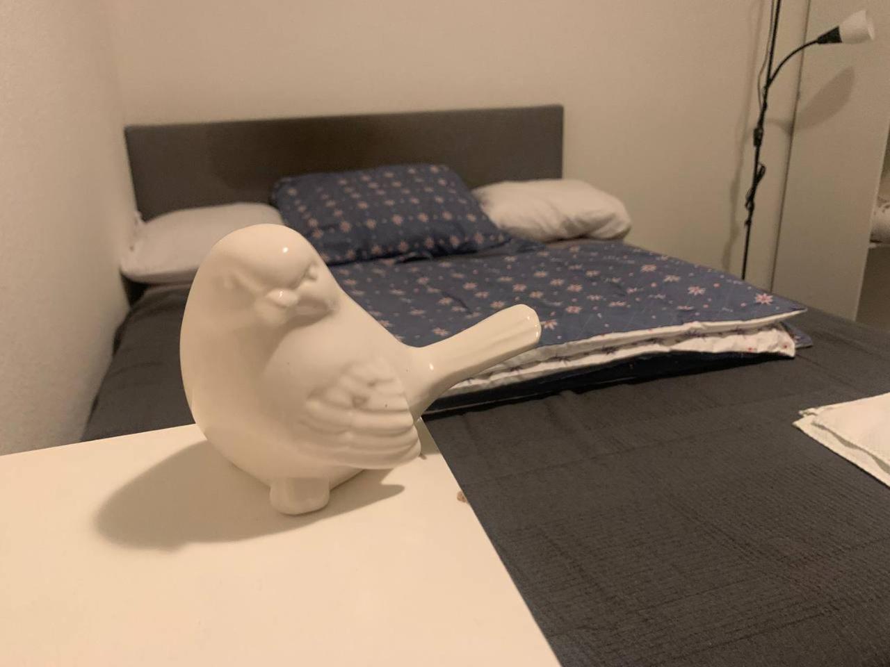 2 Room Apartament Messe Essen