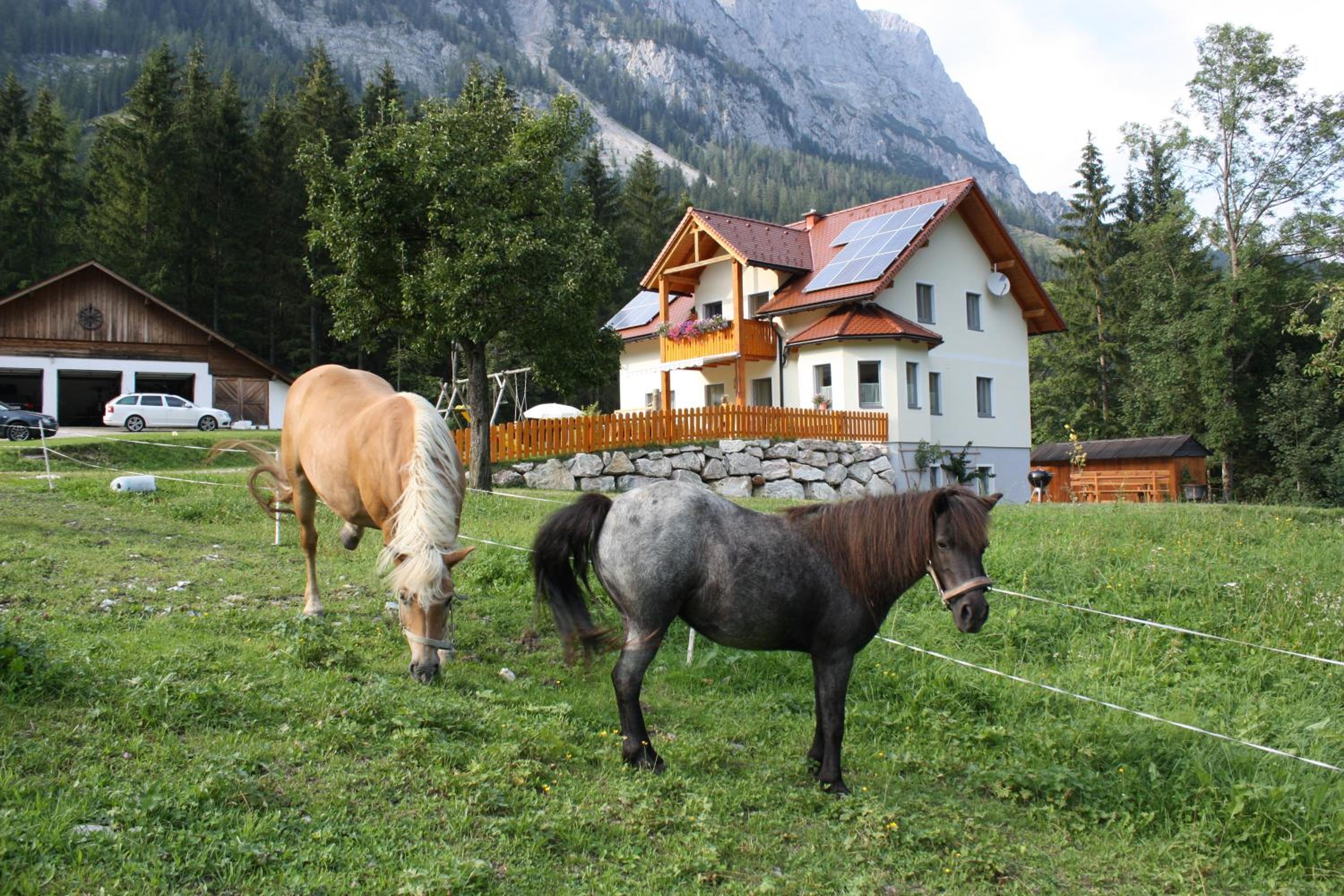 Ferienwohnung Radmer