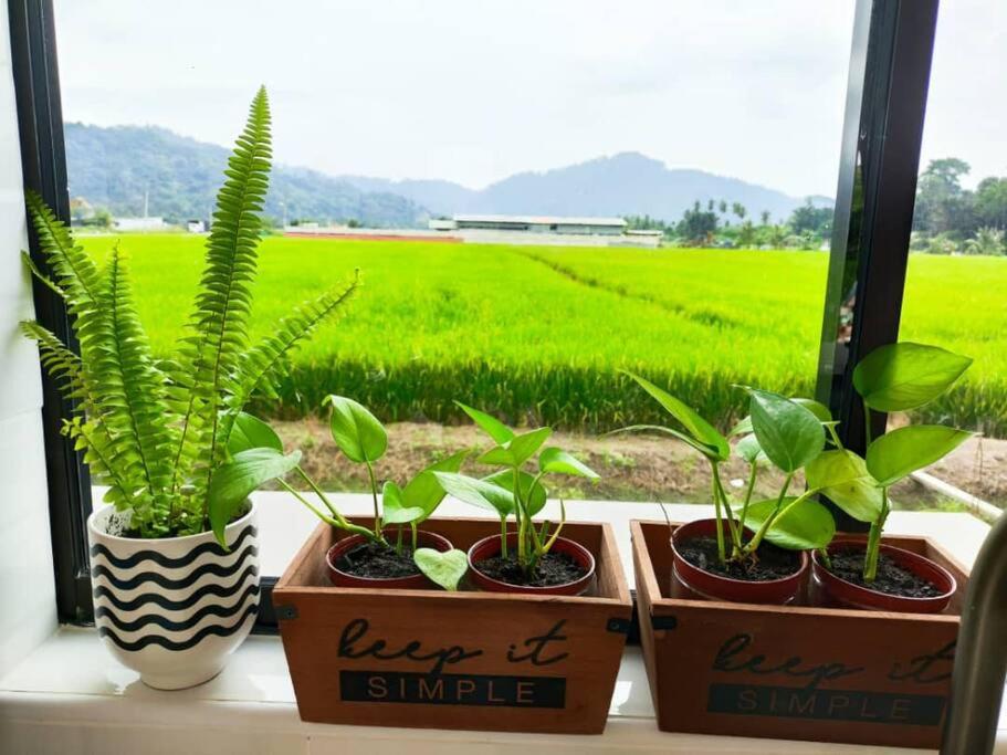 Mai Paddy Cottage, Balik Pulau photo 1